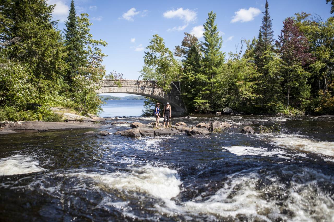 bog river